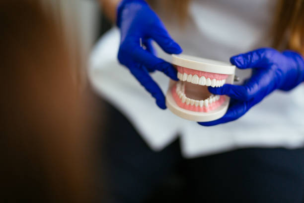 Best Wisdom Tooth Removal  in Treasure Island, FL
